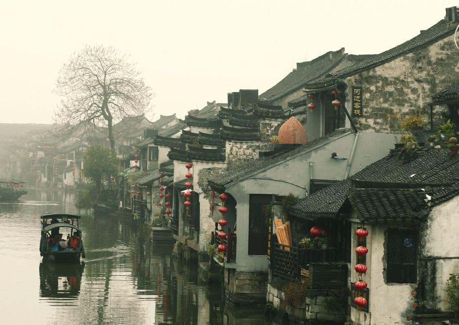 逃离橡子树种植地